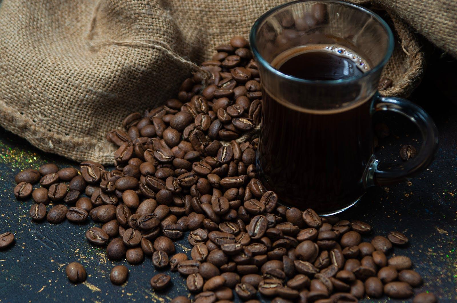 Coffeebre Brazilian Blend 16oz - COFFEEBRE